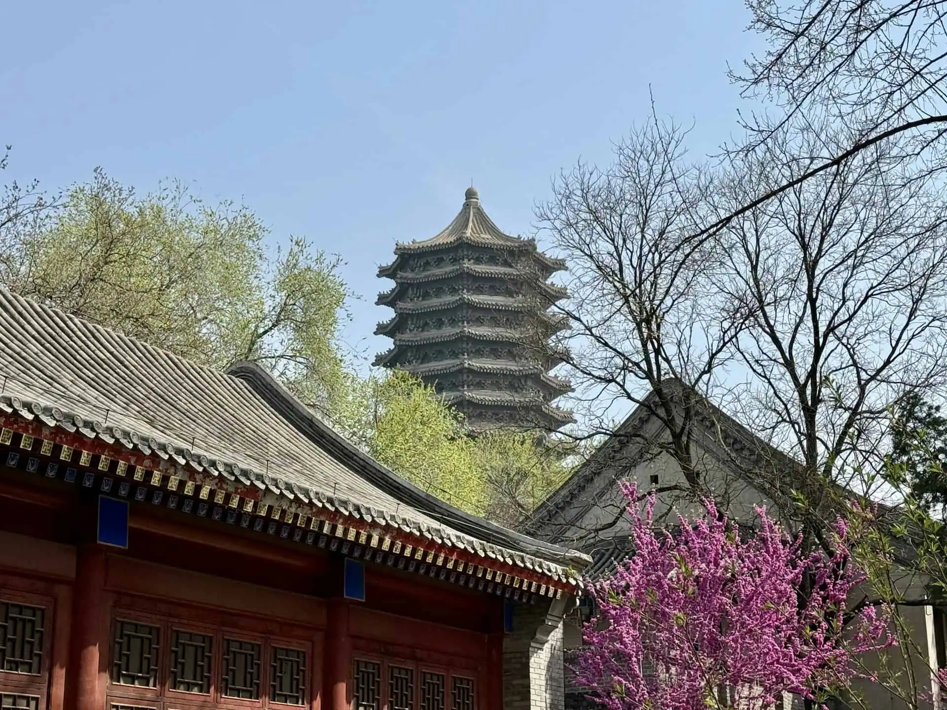 Pagoda and spring blossoms at Qinglong Temple